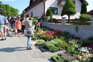 Sejem križani četrtek 10.05.2018 30